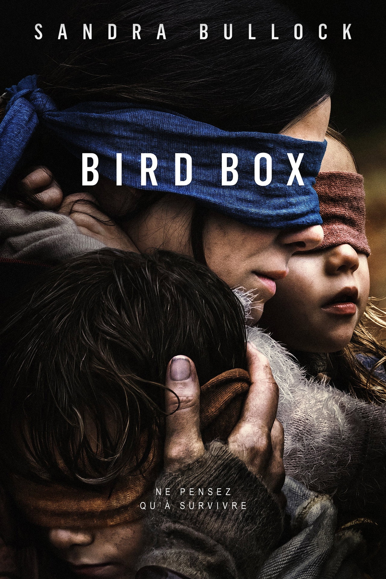 Poster du film Bird Box (2018) de Susanne Bier