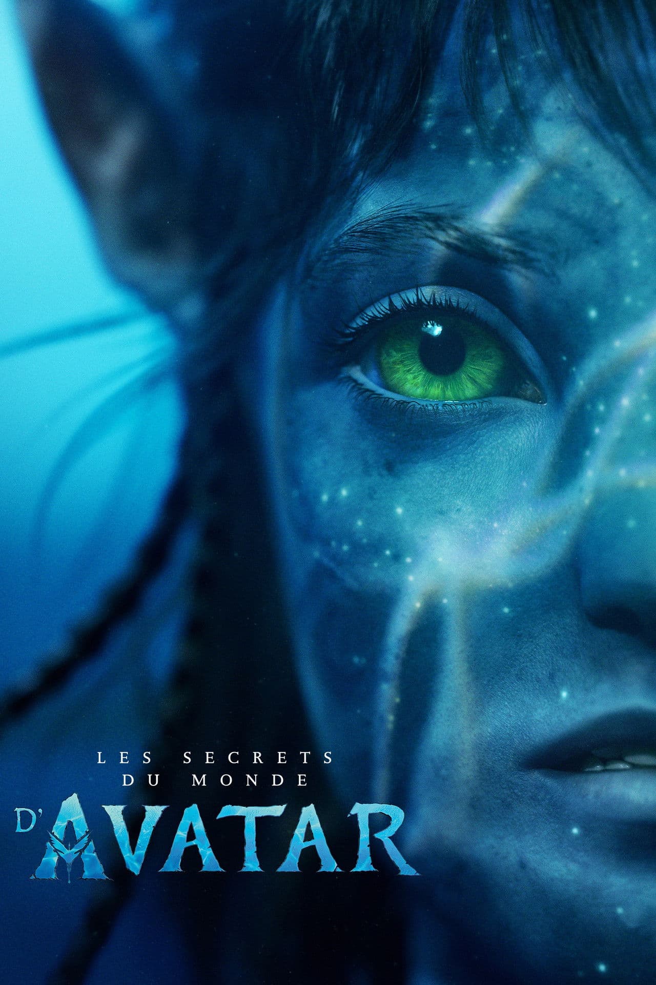 Poster de Les Secrets du monde d'Avatar