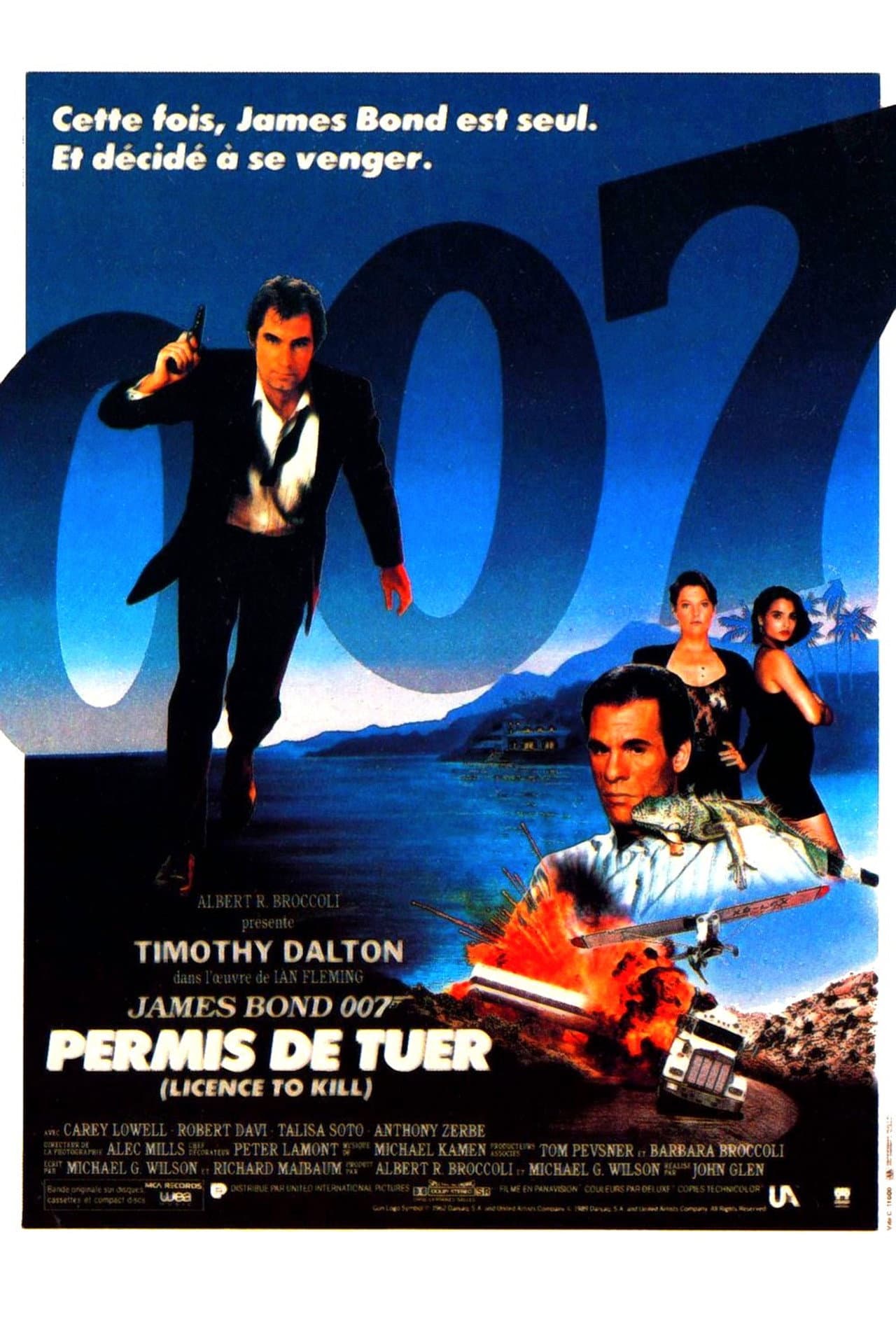 Poster de Permis de tuer