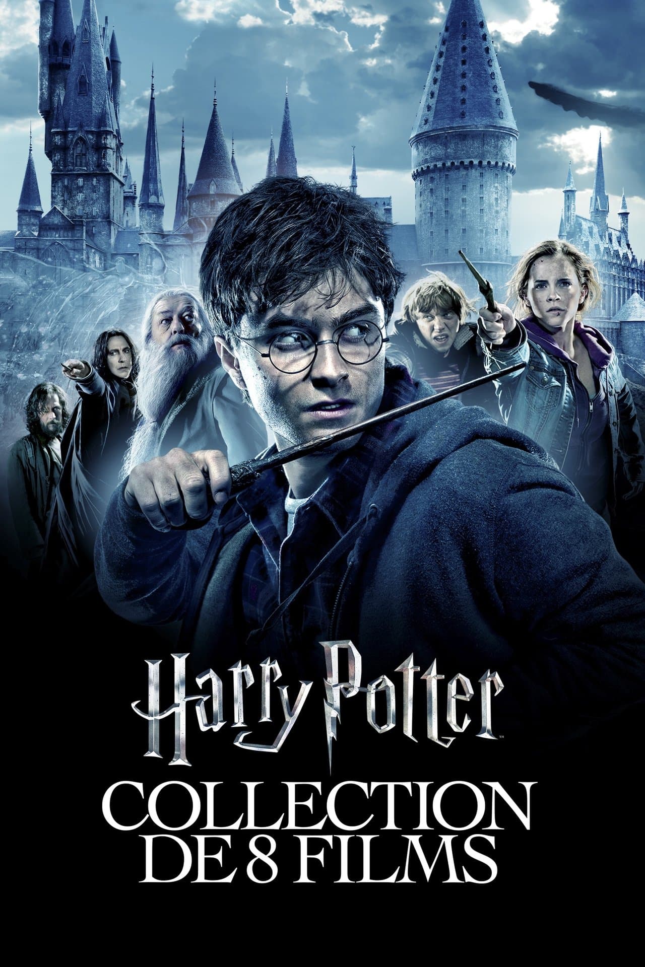 Poster de la saga Harry Potter