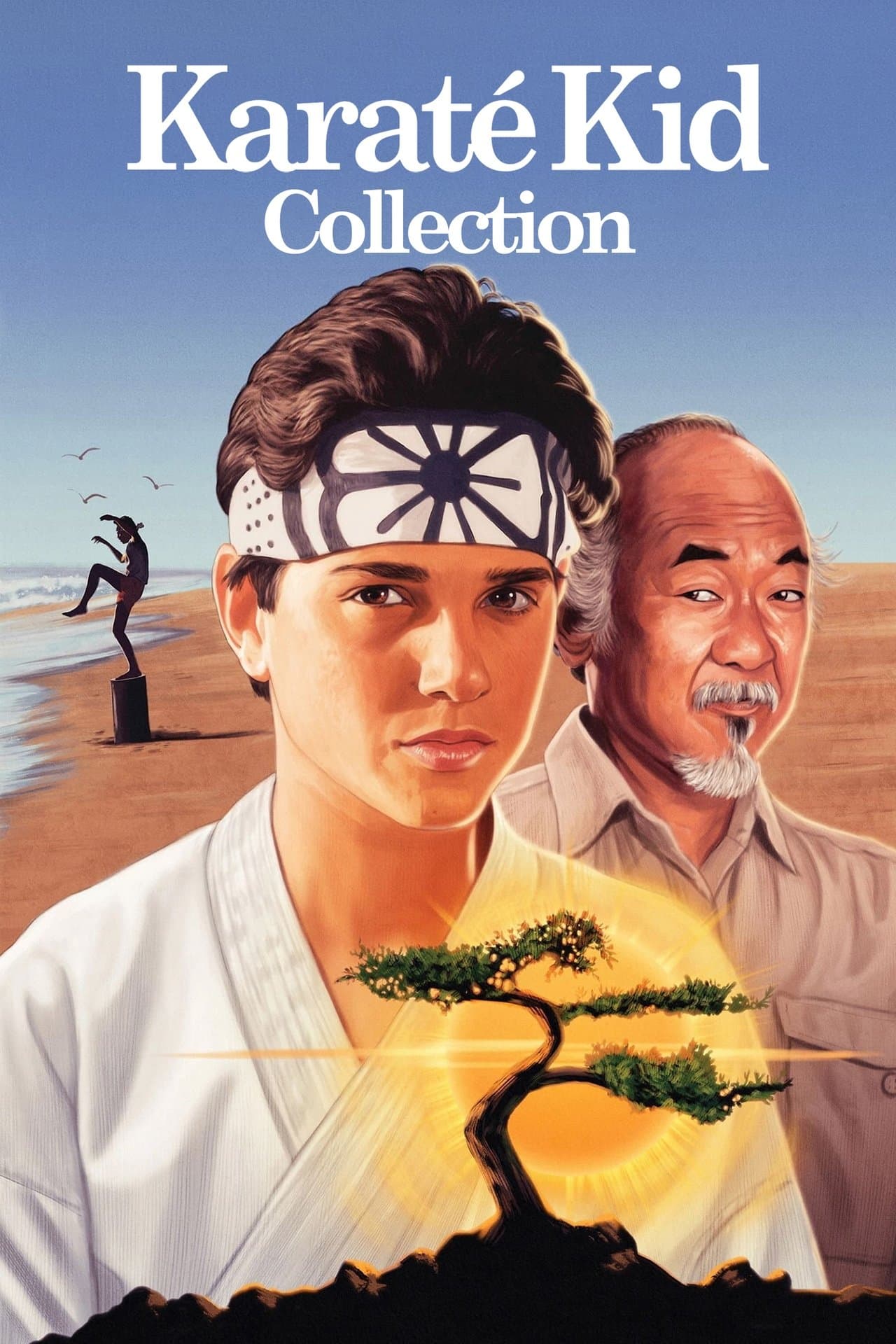 Poster de la saga Karaté Kid - Saga