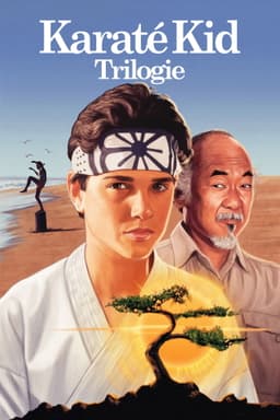 Karaté Kid - Saga - Saga